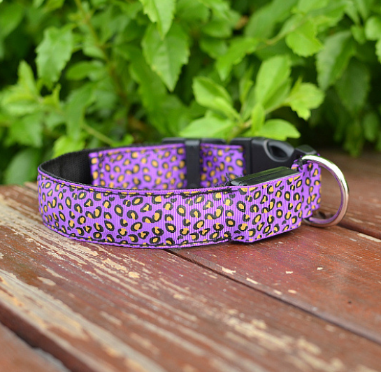 Leoparden LED Halsband